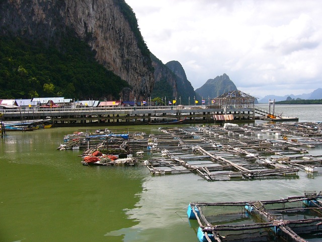 fish farms